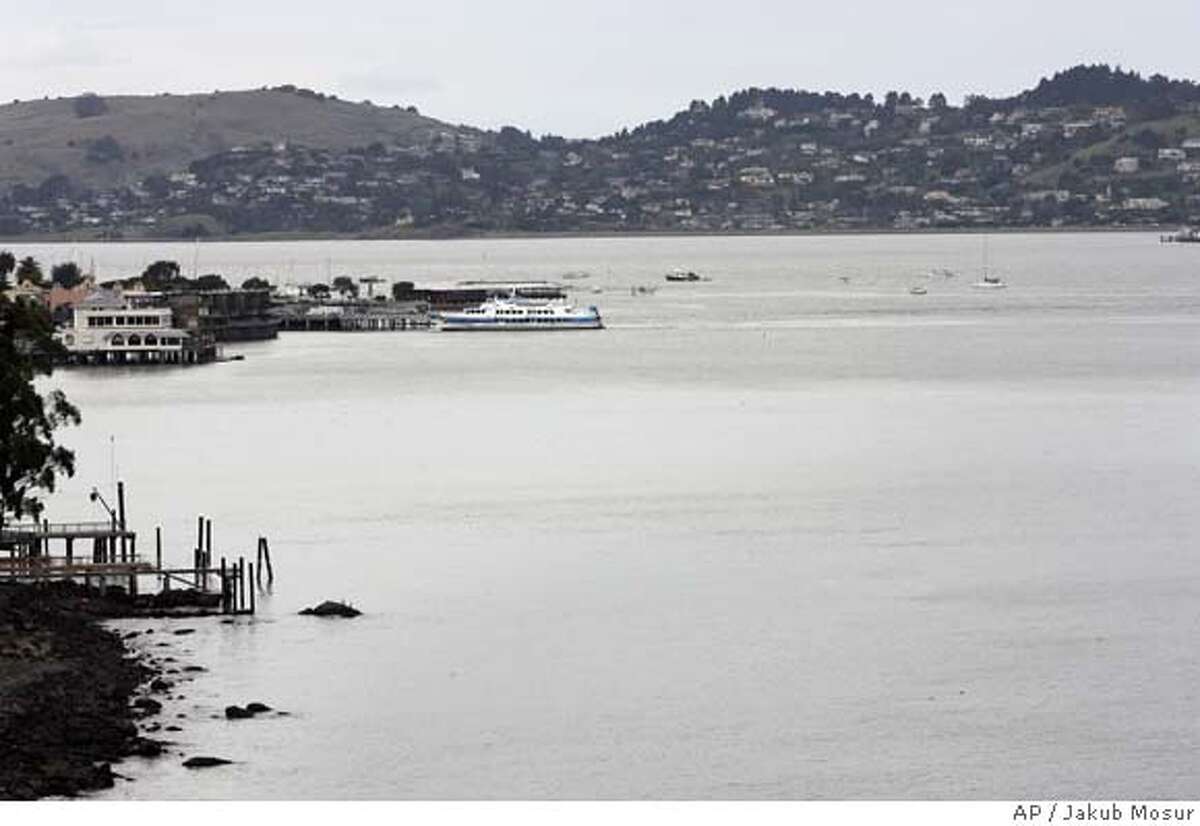 Richardson Bay off of the San Francisco Bay in Sausalito, Calif. is shown on Friday Feb. 1, 2008. According to authorities an estimated 2.7 million gallons of partially treated sewage and storm water spilled at Richardson Bay on Thursday Jan 31, 2008. (AP Photo/Jakub Mosur)