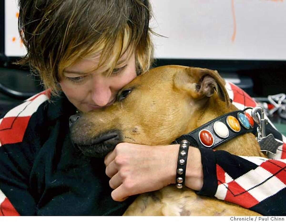 Leslie Nuccio snuggles with Hector, one of five pit bulls rescued from former Atlanta Falcons quarterback Michael Vick's Bad Newz Kennels that was introduced in Oakland, Calif. on Friday, Jan. 25, 2008 after their rehabilitation at foster homes. The dogs will now be available for adoption through the BAD RAP organization. MANDATORY CREDIT FOR PHOTOGRAPHER AND S.F. CHRONICLE/NO SALES - MAGS OUT