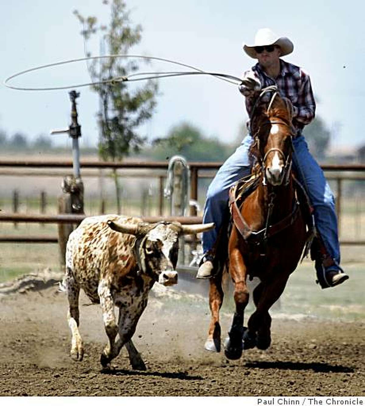 San Francisco 49ers draft pick Bear Pascoe ropes a steer on his family's cattle ranch in Terra Bella, Calif., on Thursday, May 14, 2009. The champion roper was drafted in the sixth-round as a tight end from Fresno State.