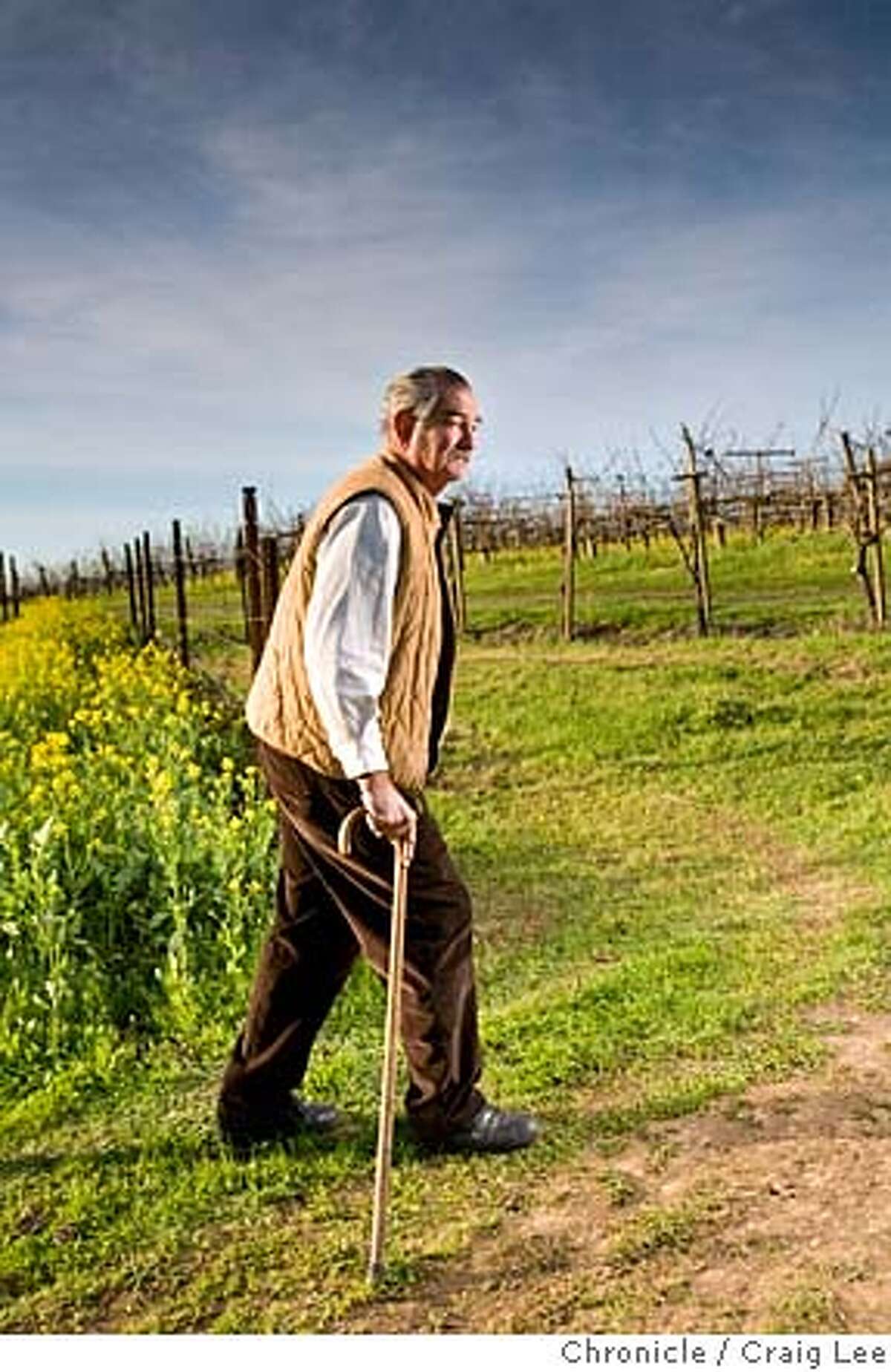Larry Hyde, a grape grower in the Carneros region on the Napa Valley, out in his vineyards. Photo of Larry near his recently planted Chardonnay vines on the left behind him, old Merlot vines on the right planted in 1986, will be pulled out to plant more Chardonnay. on 1/16/08 in Napa. photo by Craig Lee / The Chronicle Ran on: 01-20-2008 MANDATORY CREDIT FOR PHOTOG AND SF CHRONICLE/NO SALES-MAGS OUT
