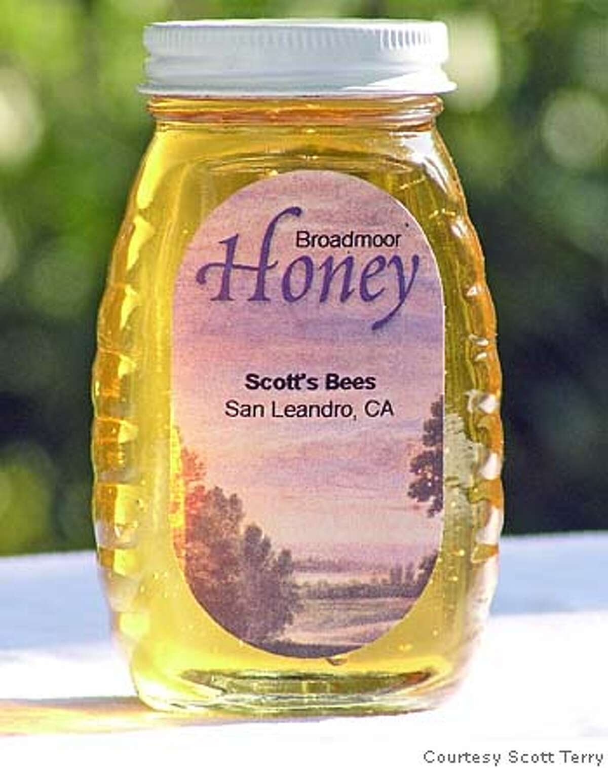 Scott Terry' homemade honey OLYMPUS DIGITAL CAMERA