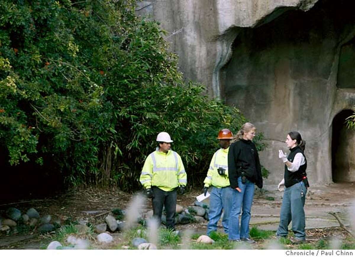 Sf Zoo Visitor Saw 2 Victims Of Tiger Attack Teasing Lions