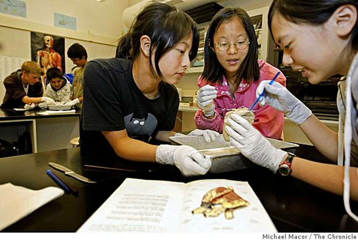 Christie Chong, Salli Wei and Terri Shih, discet a sheep heart in 7th grade science class at William Hopkins Junior High School in Fremont, Ca. on Thursday May 21, 2009. The school earned a score of 987 on the state's Academic Performance Index test.