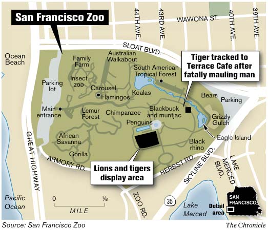 Investigation Continues Into Fatal Tiger Attack At S F Zoo   RawImage 