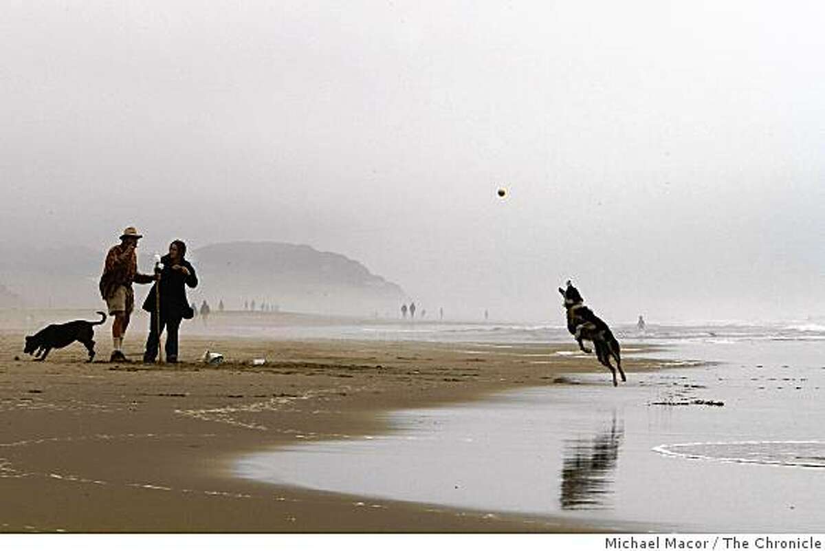 Scott Madison and Linda Hope play with their dogs, "Zoozie", (left) and "Spots", at Ocean Beach in San Francisco, Calif an area which may be an escape from the expected high temperatures that will move across much of the Bay Area this weekend, with highs expected into the upper 90's inland and 70's along the coast.