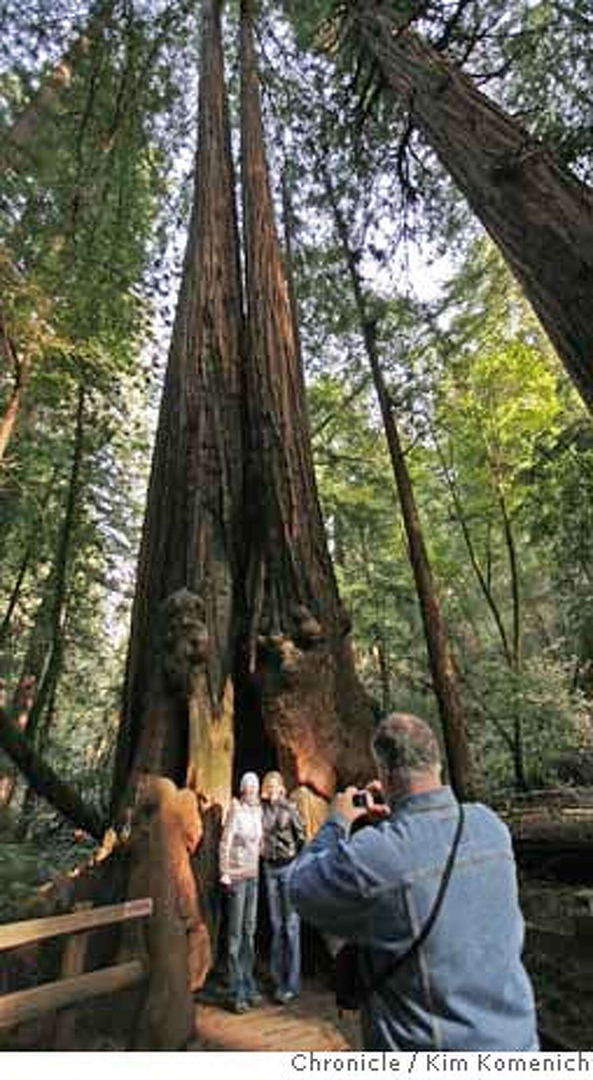 MUIRWOODS_265_KK.JPG Sheri Nikolakopulos and Kathy Norris, both of Los Angeles asked Gordon Robbins of Austin Texas to take their picture in the hollow trunk of a redwood in Bohemian Grove at Muiir Woods Friday morning. January 2008 will mark the 100th anniversary of the dedication of Muir Wood, an area that if not for Congressman William Kent, would be under 1,000 feet of water. Photo by Kim Komenich/The Chronicle **Sheri Nikolakopulos, Kathy Norris, Gordon Robbins Ran on: 12-17-2007 Gordon Robbins of Austin, Texas, takes a picture of Sheri Nikolakopulos and Kathy Norris, who are both from Los Angeles, as they stand in the hollow trunk of a redwood tree in Bohemian Grove at Muir Woods.