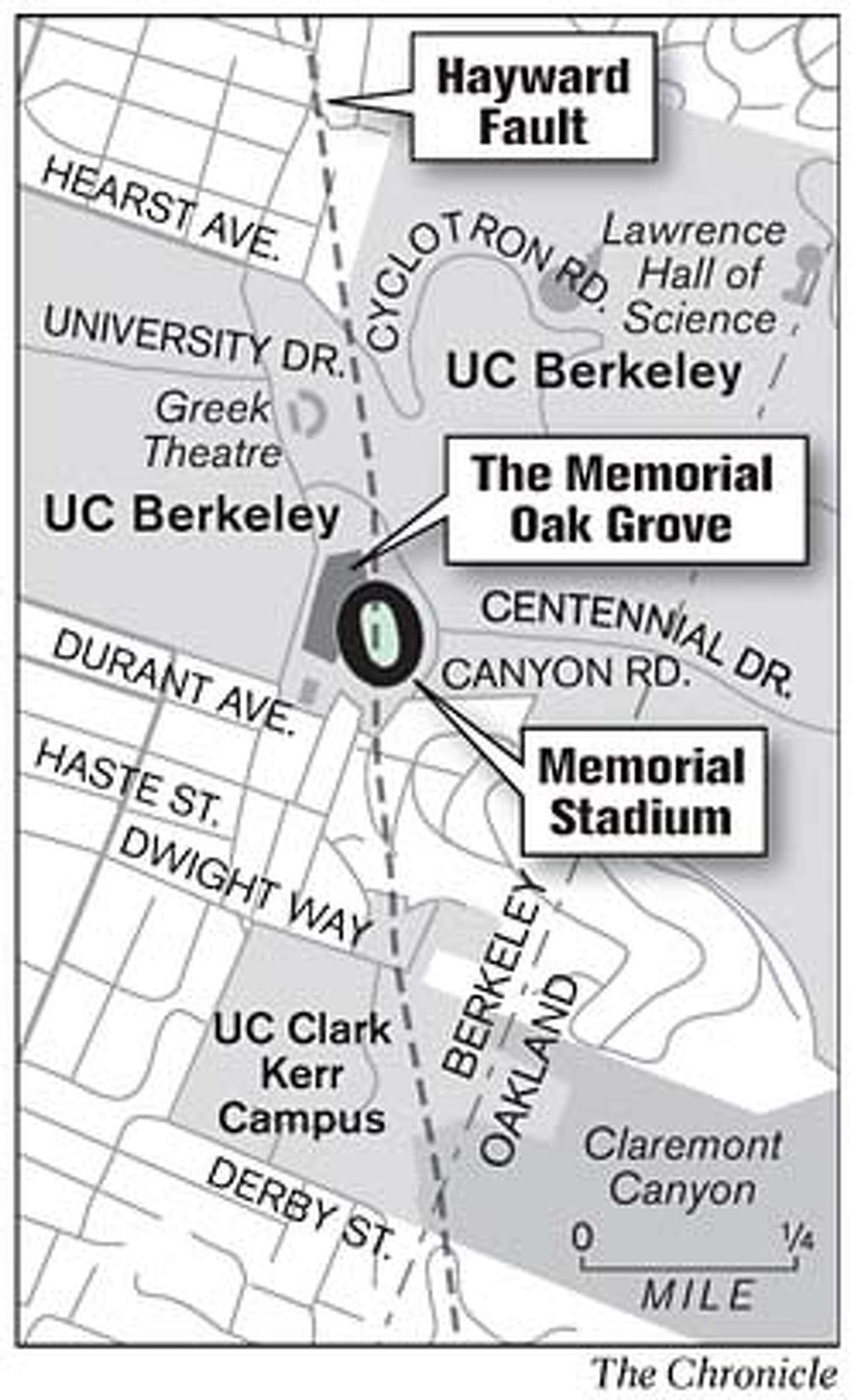 One year into protest, UC Berkeley's tree-sitters firmly planted