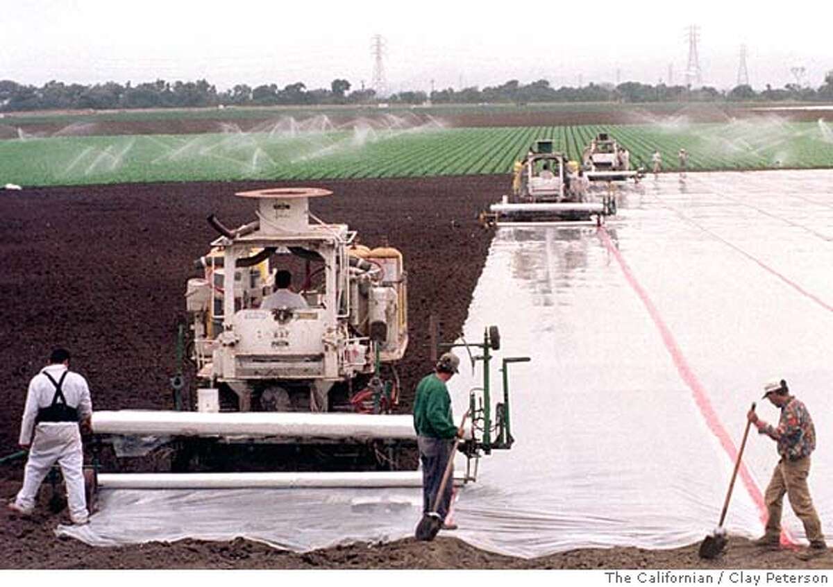 FILE--Application tractors eject methyl bromide into a Driscoll Strawberry Inc. field near Salinas, Calif., in this Oct. l, l998 file photo. Pesticide poisonings dropped statewide in 1997 and 1998 compared to previous years, according to a study released this week by the state Department of Pesticide Regulation. (AP Photo/The Californian, Clay Peterson, File) CAT