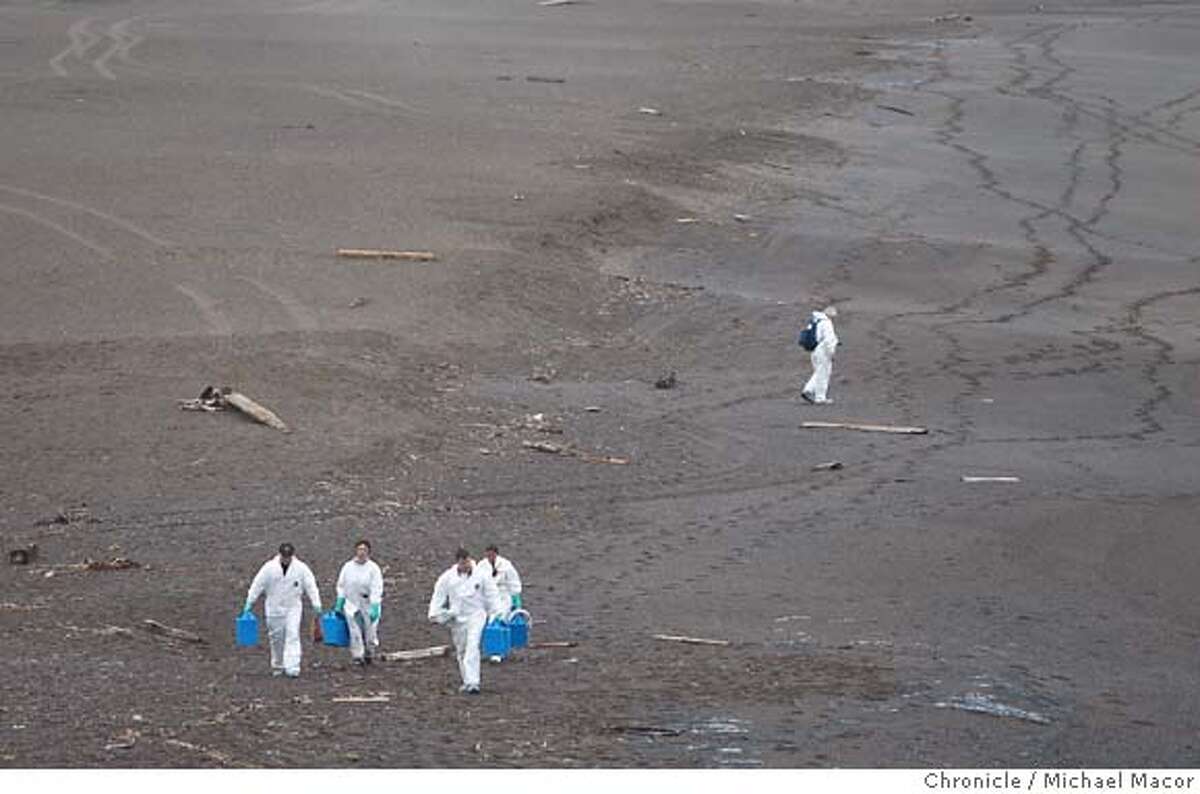 oilspill09_0318_mac.jpg Workers with the Marine Mammal Center in the Marin Headlands are out walking Rodeo Beach collecting shorebirds affected by the oil spill on behalf of the Oiled Wildlife Care Network. After the collision of the Cosco Busan container ship with a tower footing of the Bay Bridge yesterday morning , clean up crews begins the work of containing and cleaning up the spilled oil as it reaches nearby San Francisco Bay beaches. photog} / The Chronicle Photo taken on 11/8/07, in San Francisco, GA, USA