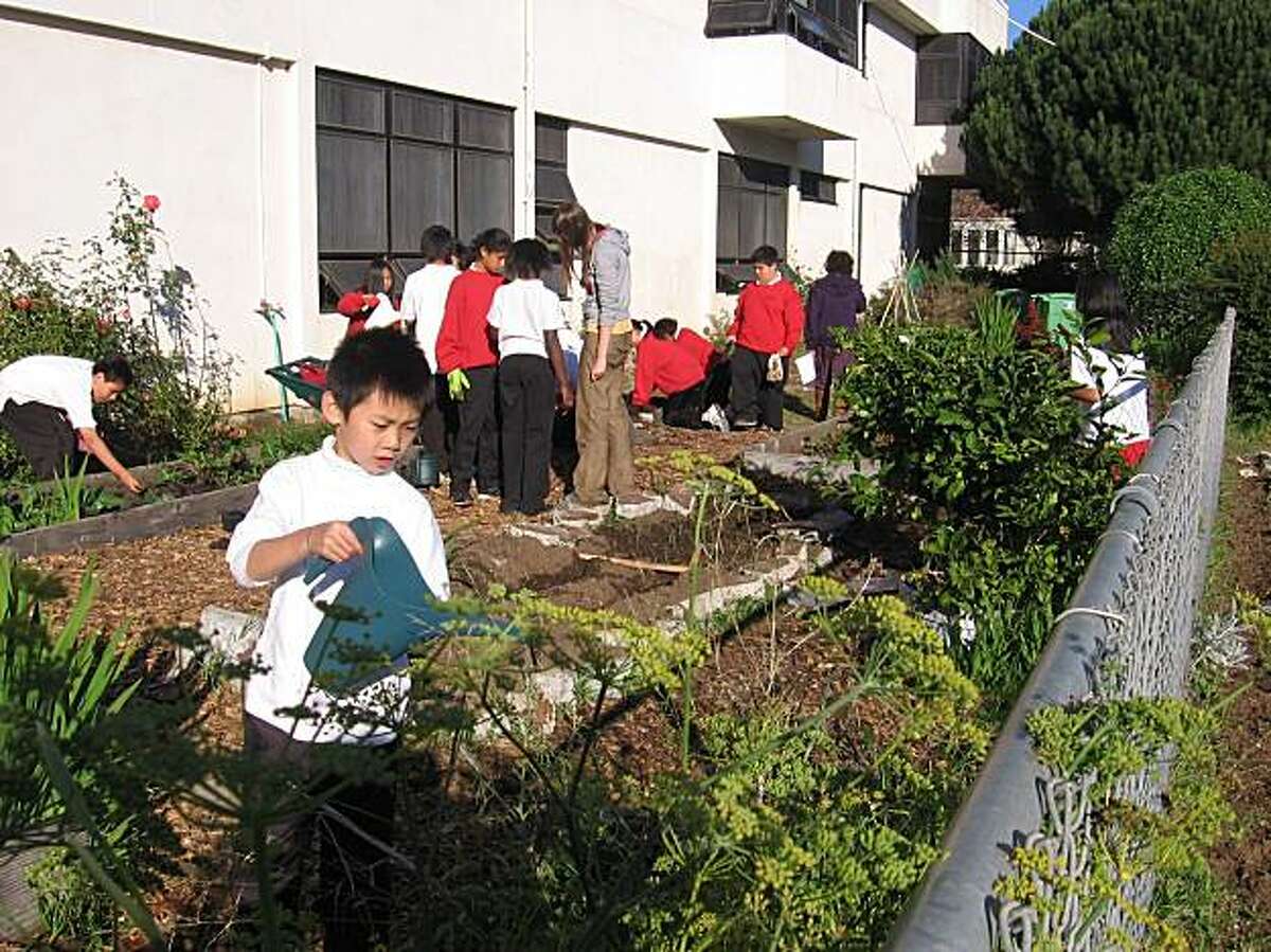 Gardening Classes Regina