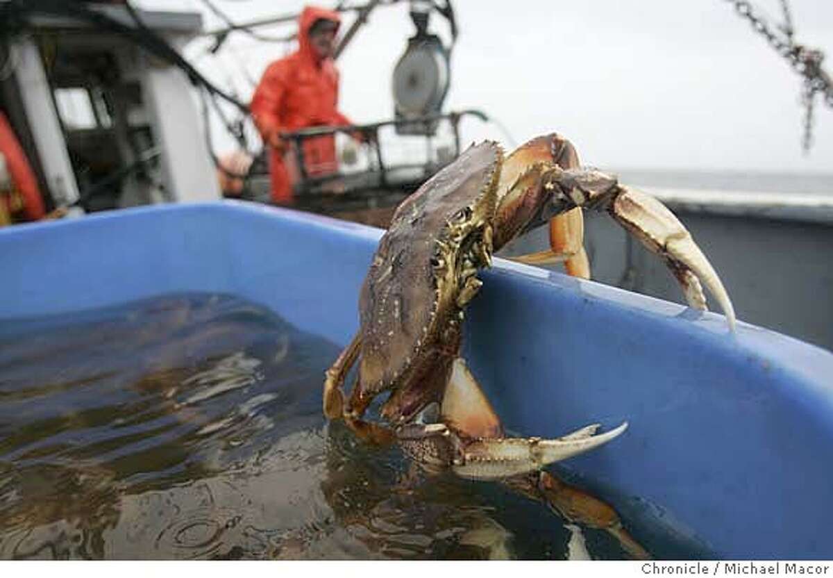 Crab grabs some air harvest gets a slow start