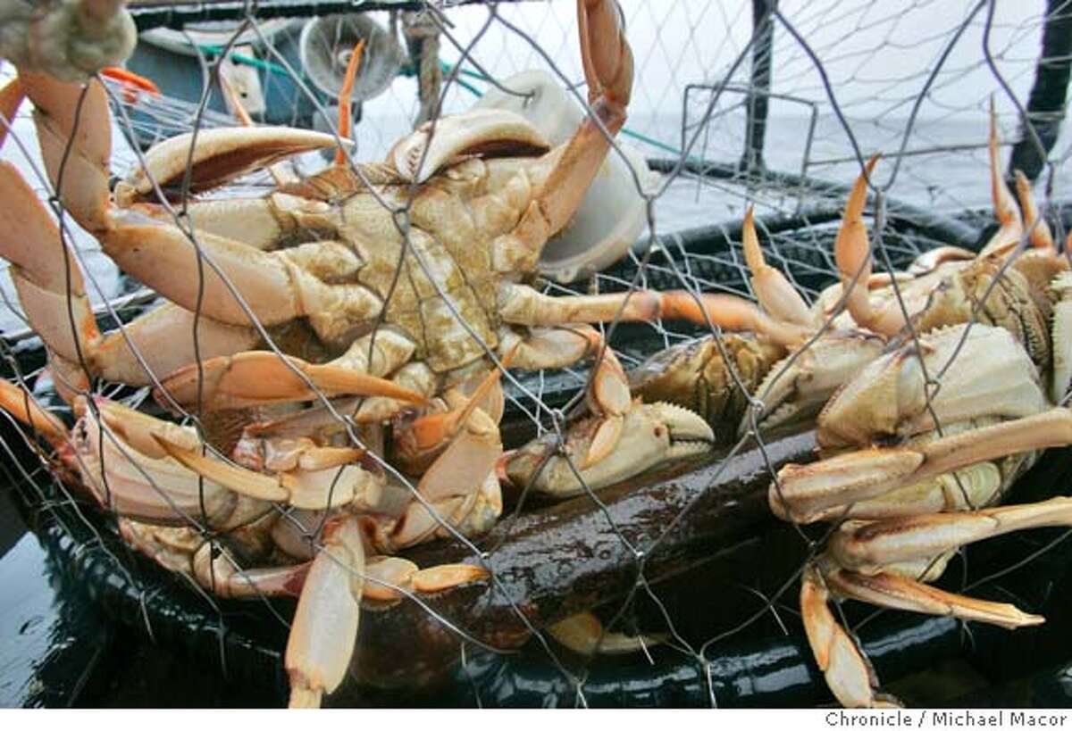 Crab grabs some air harvest gets a slow start