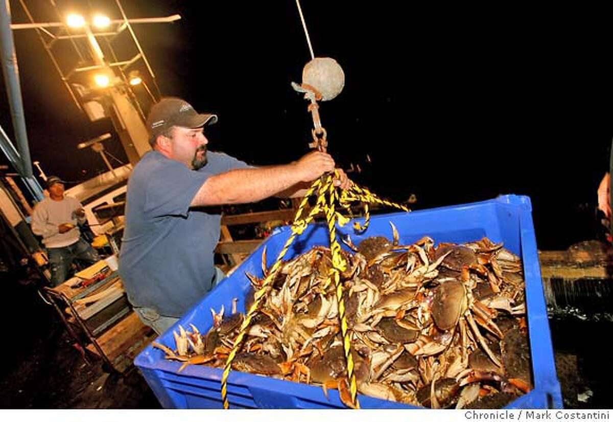 A huge catch of crab off the Farallones is offloaded in Monterey