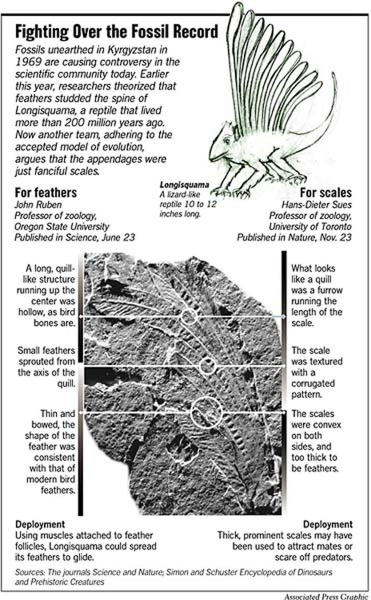 evidence that birds evolved from dinosaurs