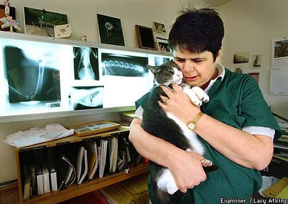 Can You Deduct Dog Walking On Your Taxes