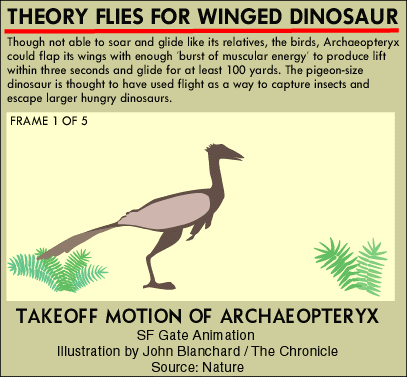 different types of dinosaurs that fly