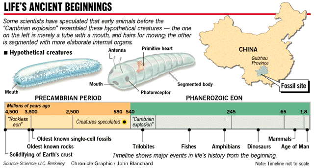 PAGE ONE -- New Clues to Origin of Life on Earth / China fossils ...