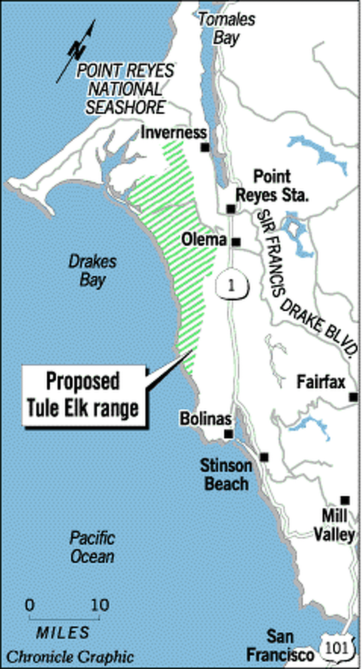 BAY AREA FOCUS Elks' Population Boom / Point Reyes plan includes birth control for tule herd