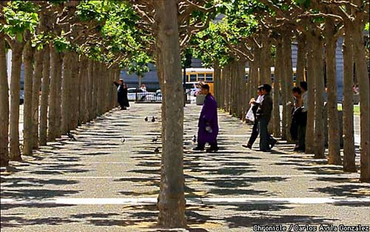 A tree-lined public walkway in the plaza may be slated for restoration work. Chronicle Photo by Carlos Avila Gonzalez