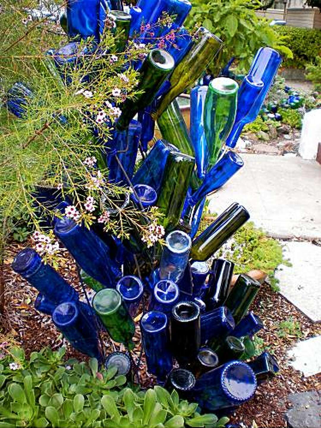 Bottle trees' lineage traced to Africa