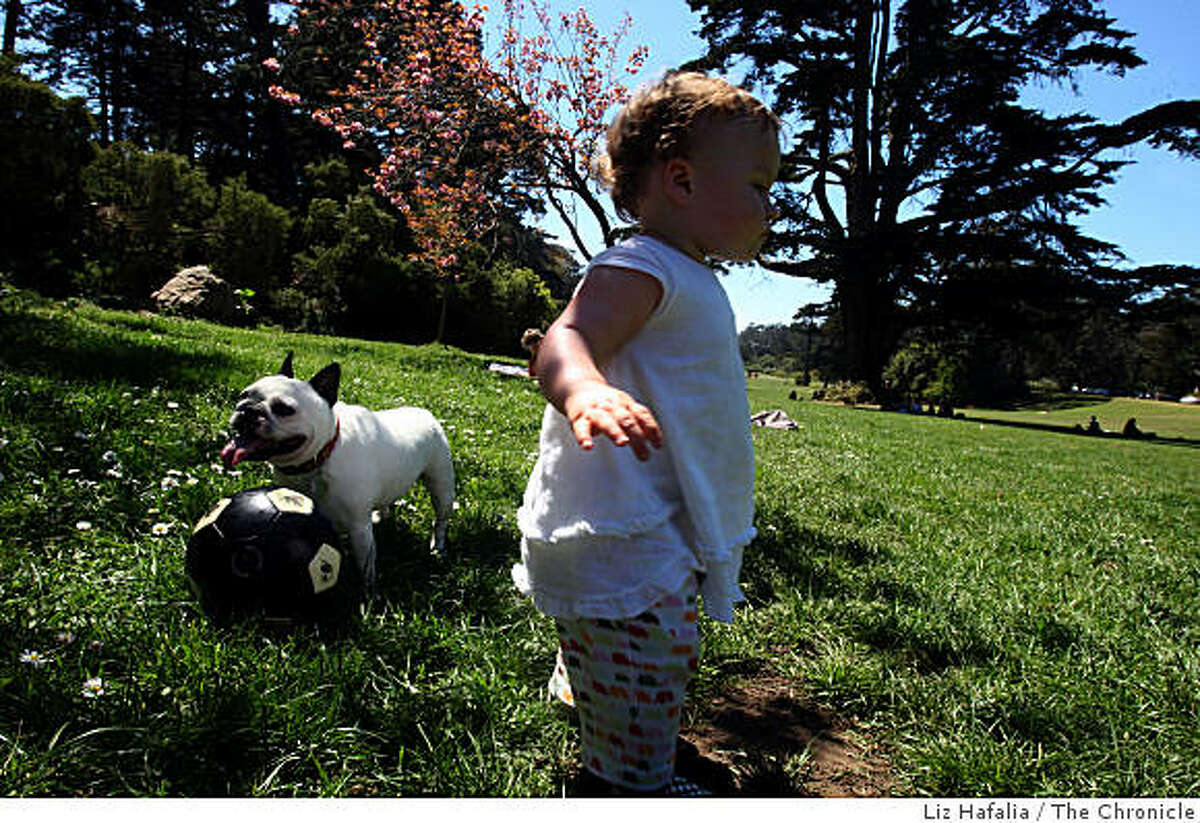 Penny (french bullgog) with Molly Foss, 15 mos. old, at Golden Gate park on J.F. Kennedy Dr. in San Francisco, Calif., on Friday, April 17, 2009.