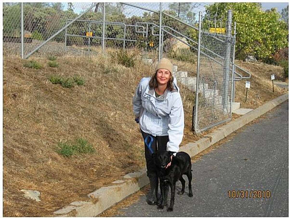 Nevada County Animal Shelter dogwalking program