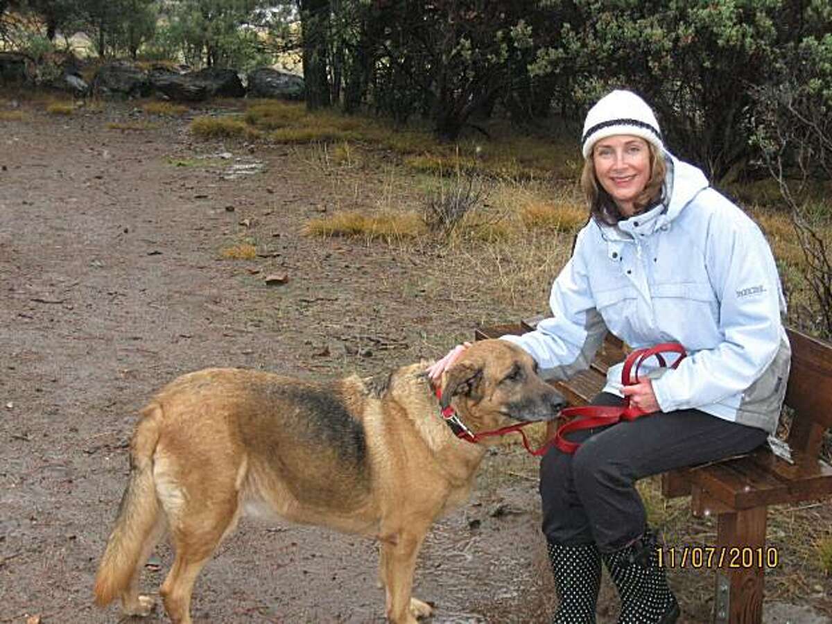 Nevada County Animal Shelter dogwalking program