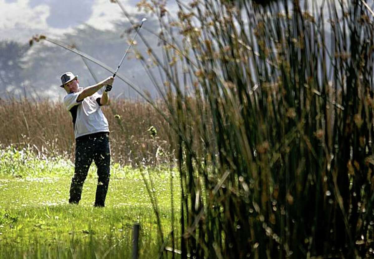 Jamie Kahn hits his golf ball over a marshy hazard to the 15th green at Sharp Park Golf Course in Pacifica, Calif., on Wednesday, April 1, 2009. San Francisco city officials, who own and operate the course, may consider closing the popular 18-hole course to restore the area to its natural wetlands habitat.