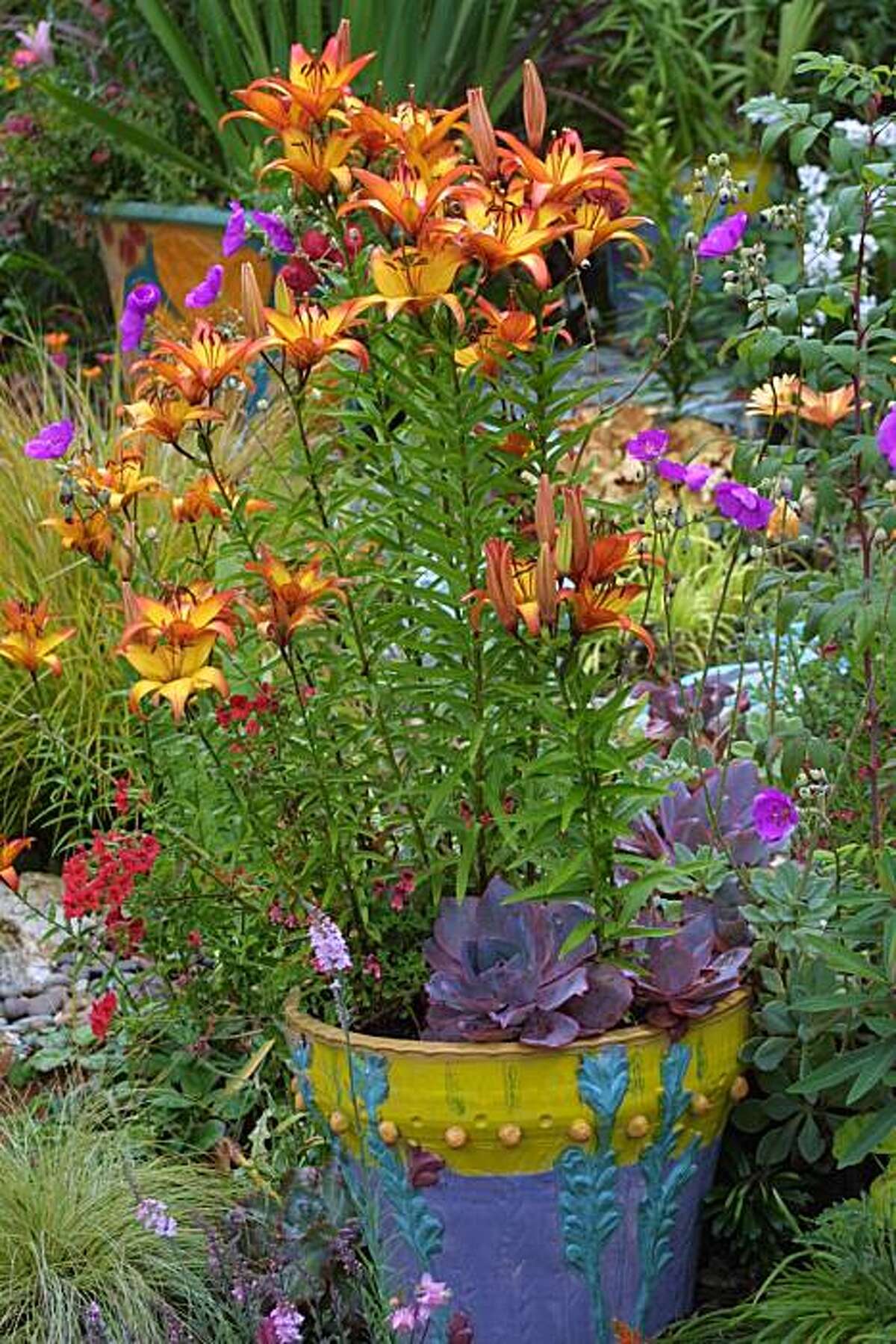 A quick primer all about bulbs