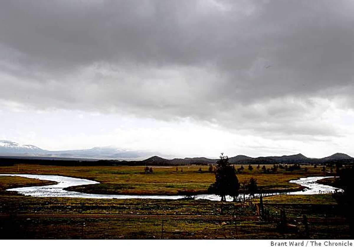 Nature Conservancy land buy to help revive coho