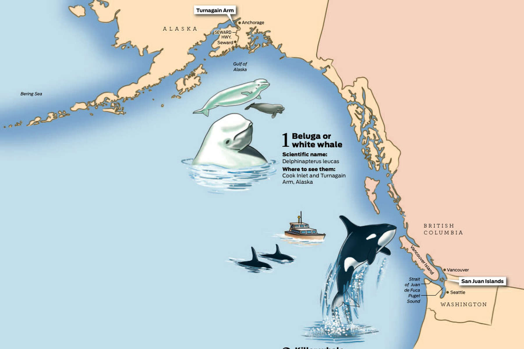 West's best spots to watch whales