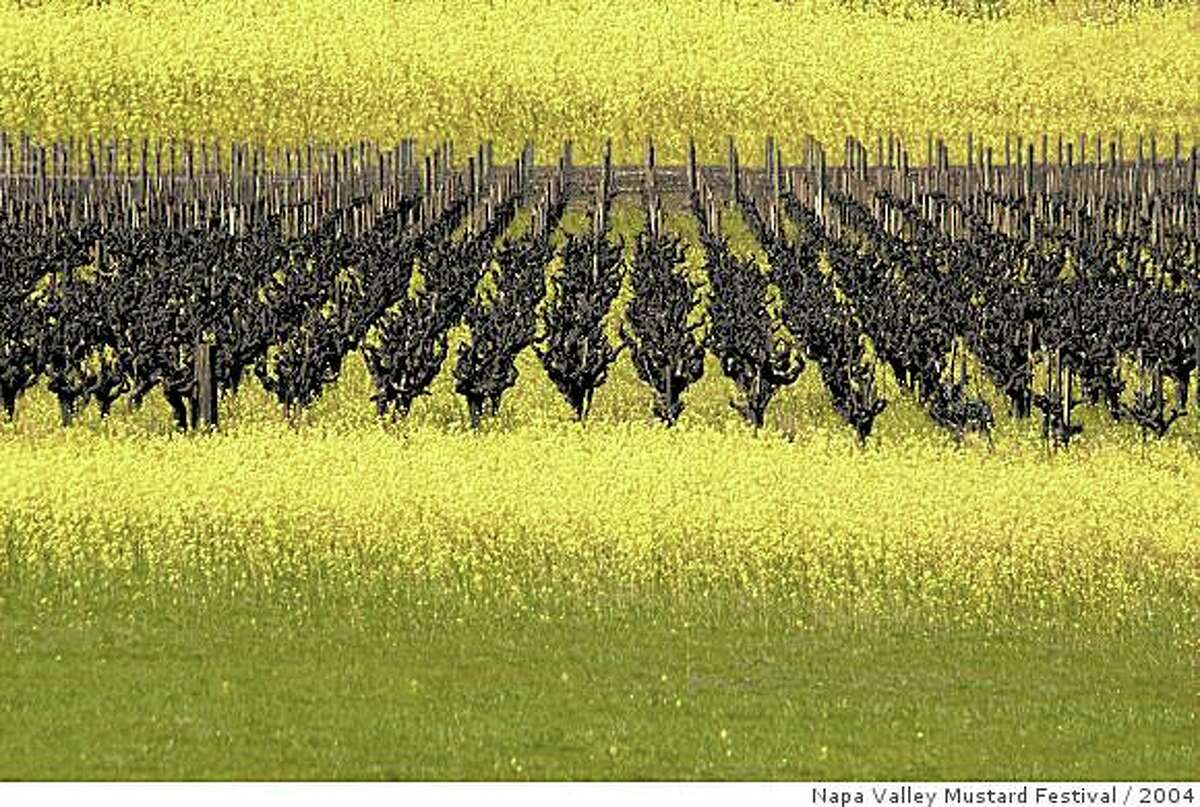 Napa Valley festival celebrates mustard