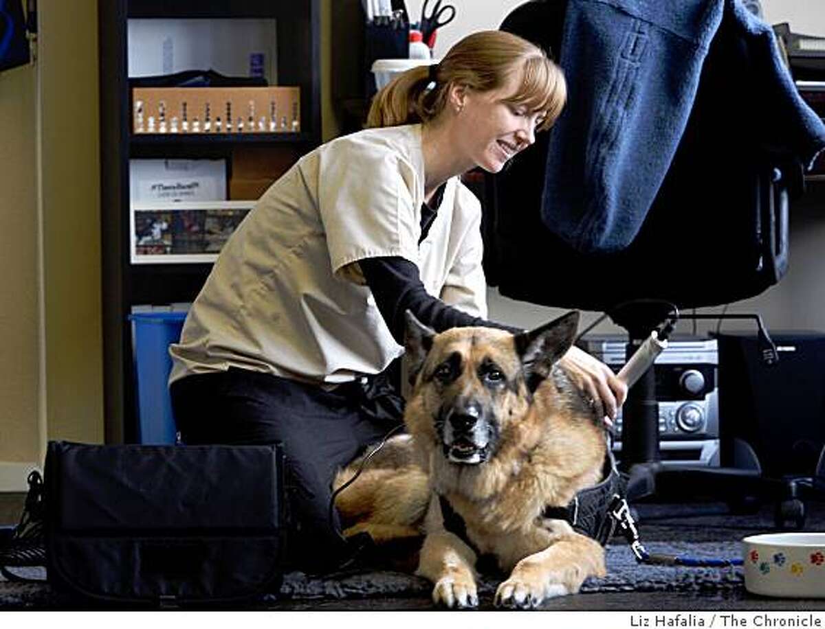Pet therapy center tames dogs of recession