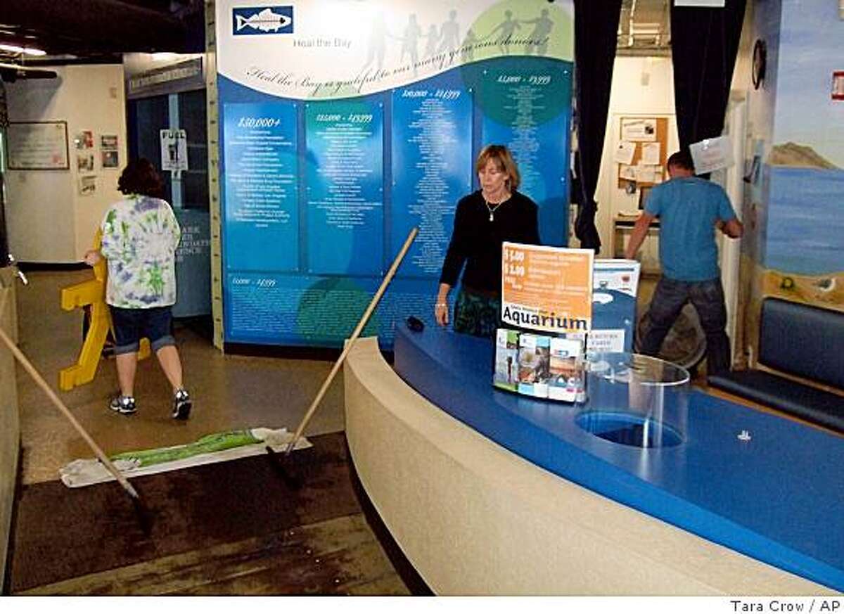 The octopus did it at Santa Monica aquarium