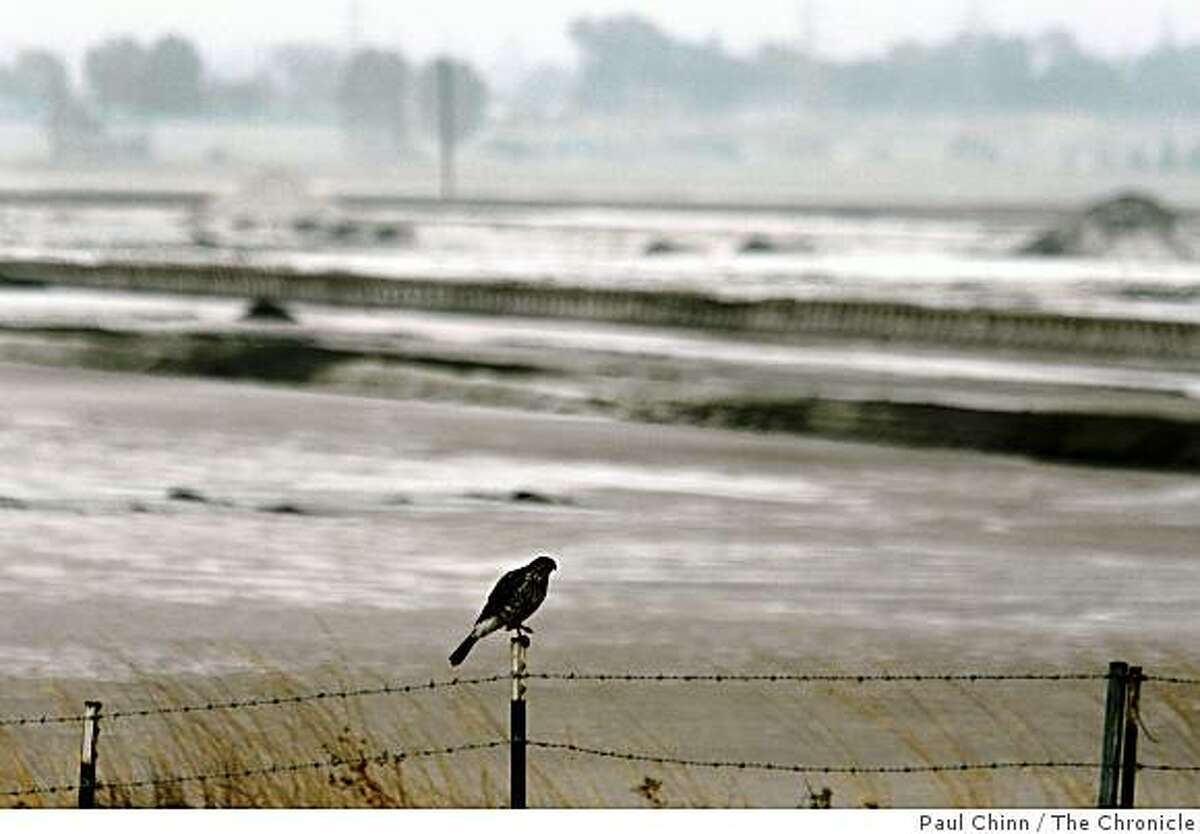 A bird is perched on a fence post at the perimeter of the Cargill salt evaporators in Redwood City, Calif. on Wednesday, Oct. 31, 2007.