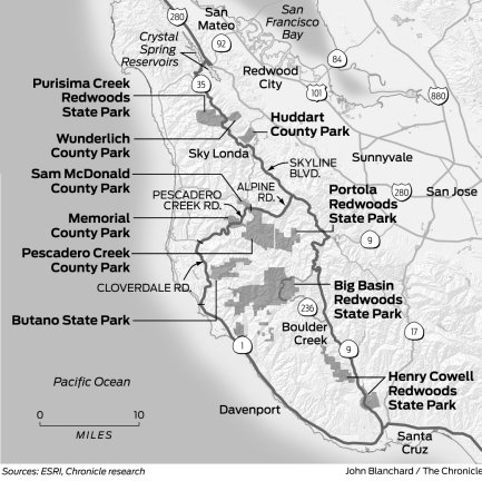 Sunday drive: Redwood parks