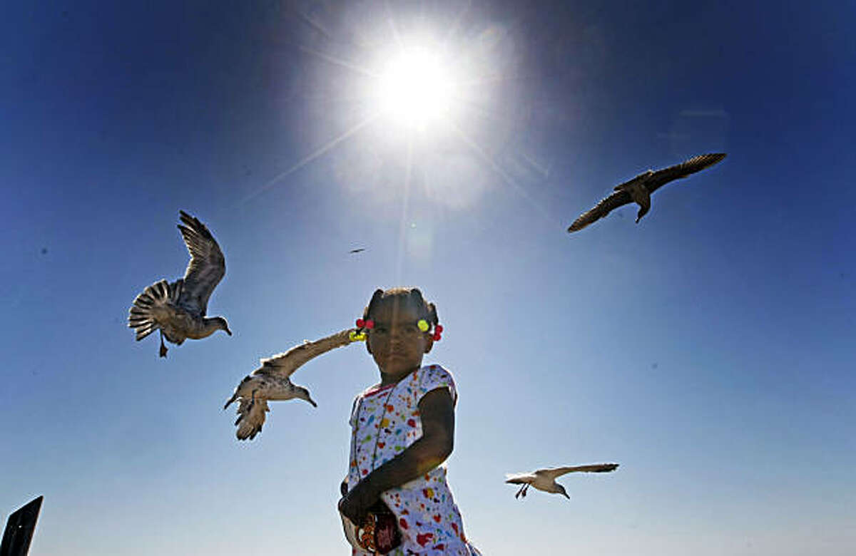 Jayah Butler, age three, from San Francisco and her aunt visited Ocean Beach in San Francisco to share their lunch with the birds Wednesday, Sept. 22, 2010. Temperatures are expected to climb as a high-pressure system moves into Northern California.