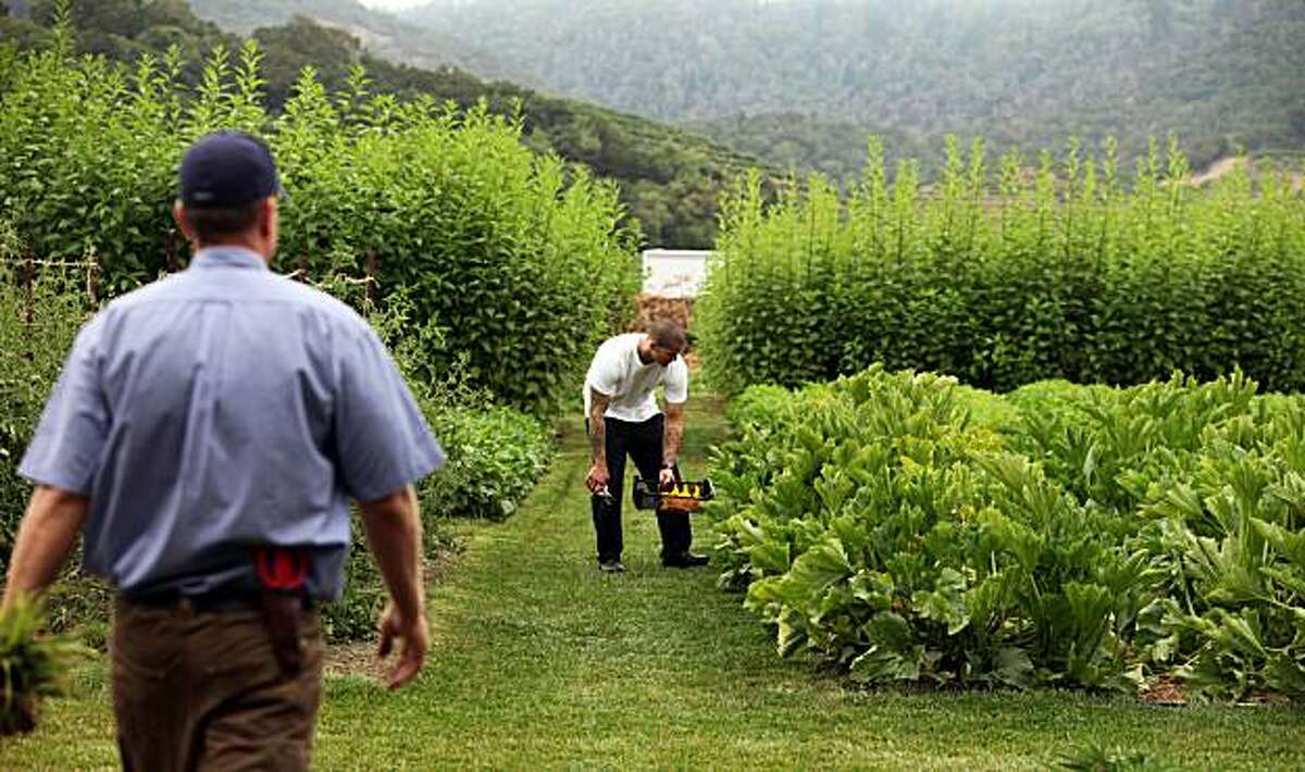 french laundry garden