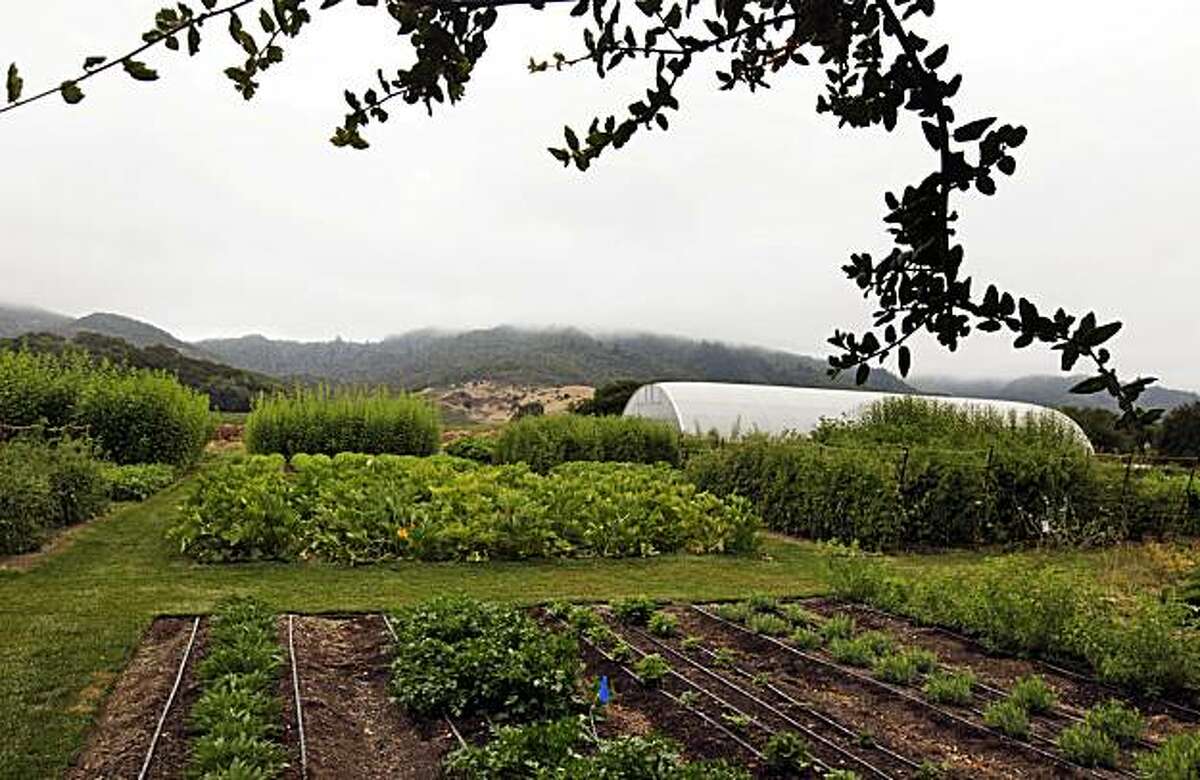 French Laundry's garden a 4star experiment