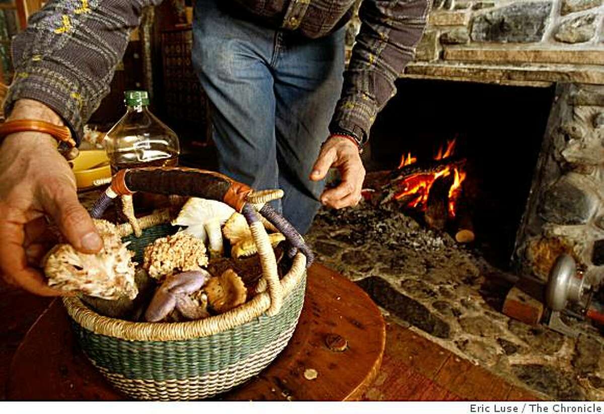 At home with mushroom collector David Arora