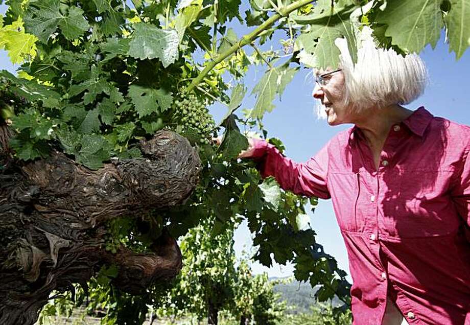 Leafroll A Quiet Threat In The Vineyard Sfgate Cathy Corison Has Older St George Root Stock In Her Kronos Vineyard Near