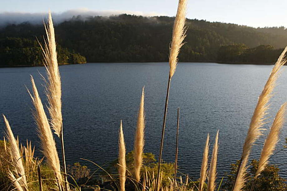 Hike the trails at Crystal Springs Reservoir - SFGate