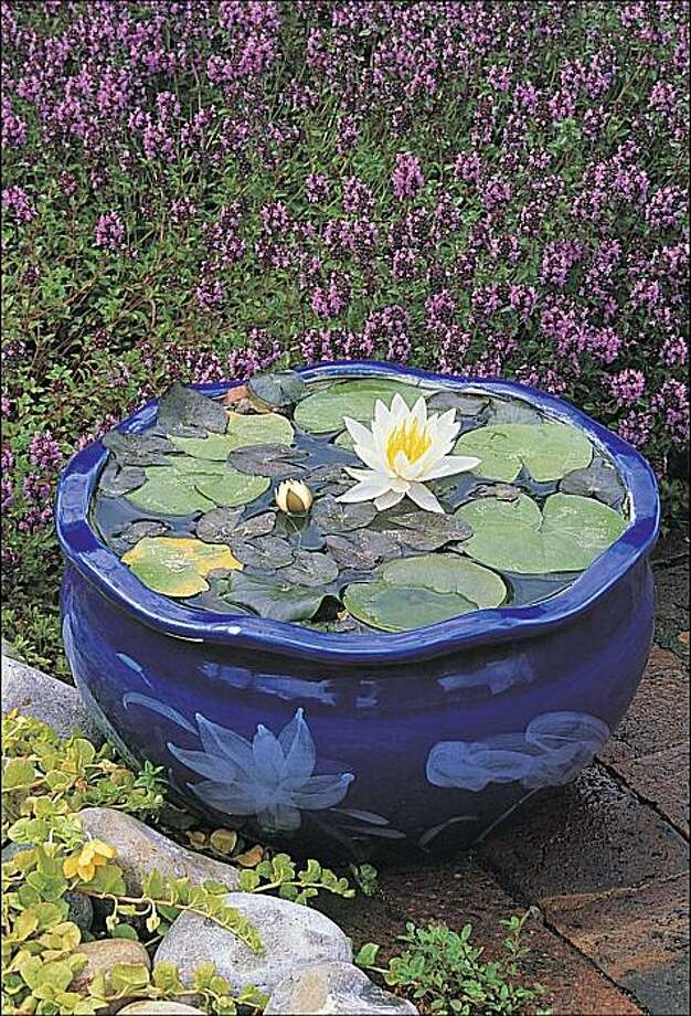 Water features provide evocative elements SFGate