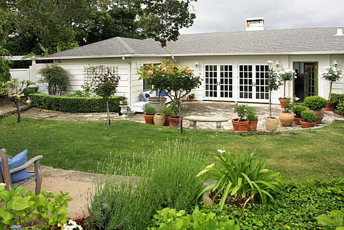 A swim with a view A swim with a view