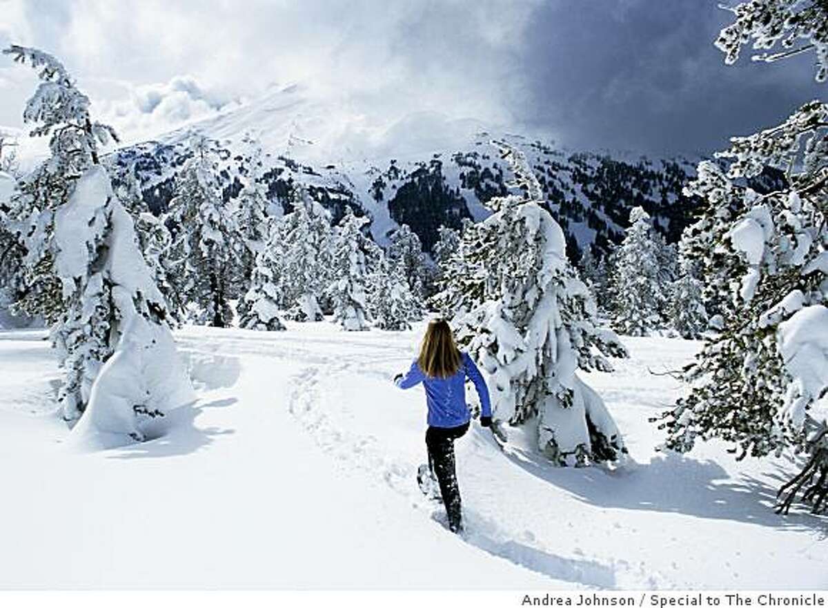 Mount Bachelor celebrates 50th anniversary