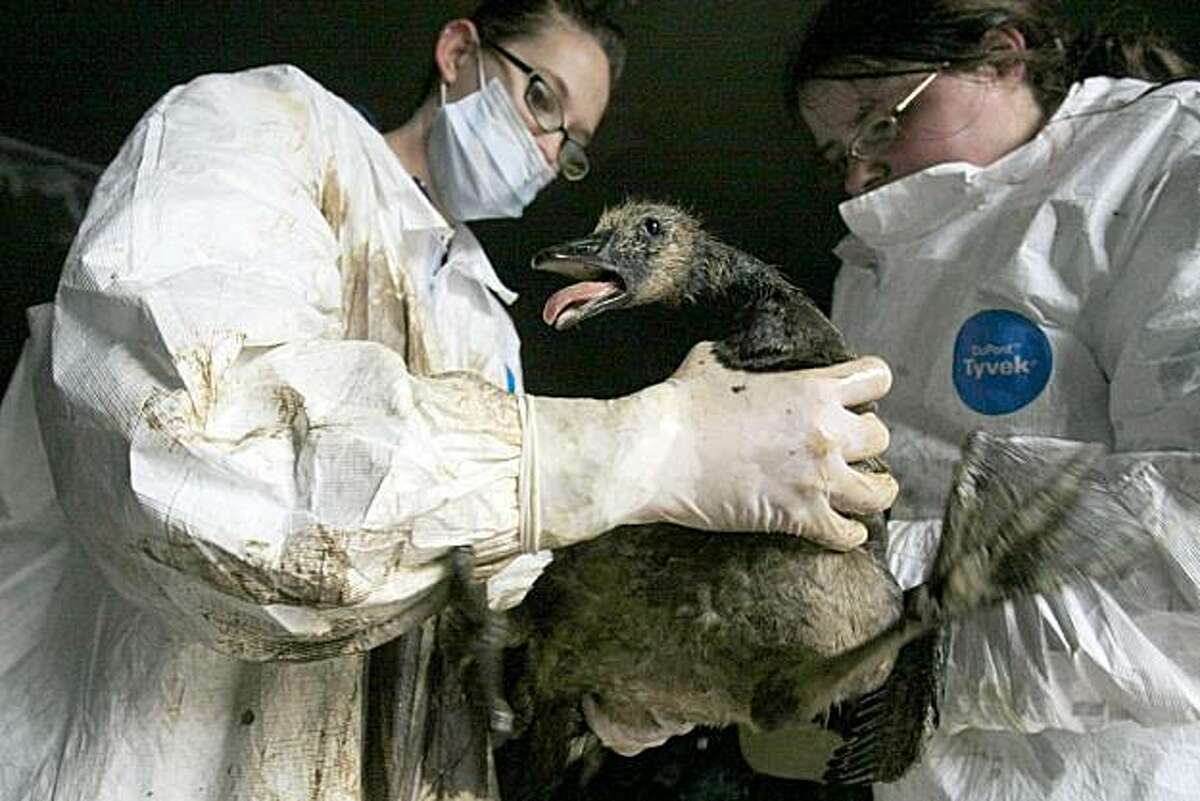 Electrical arc may have caused Utah oil spill