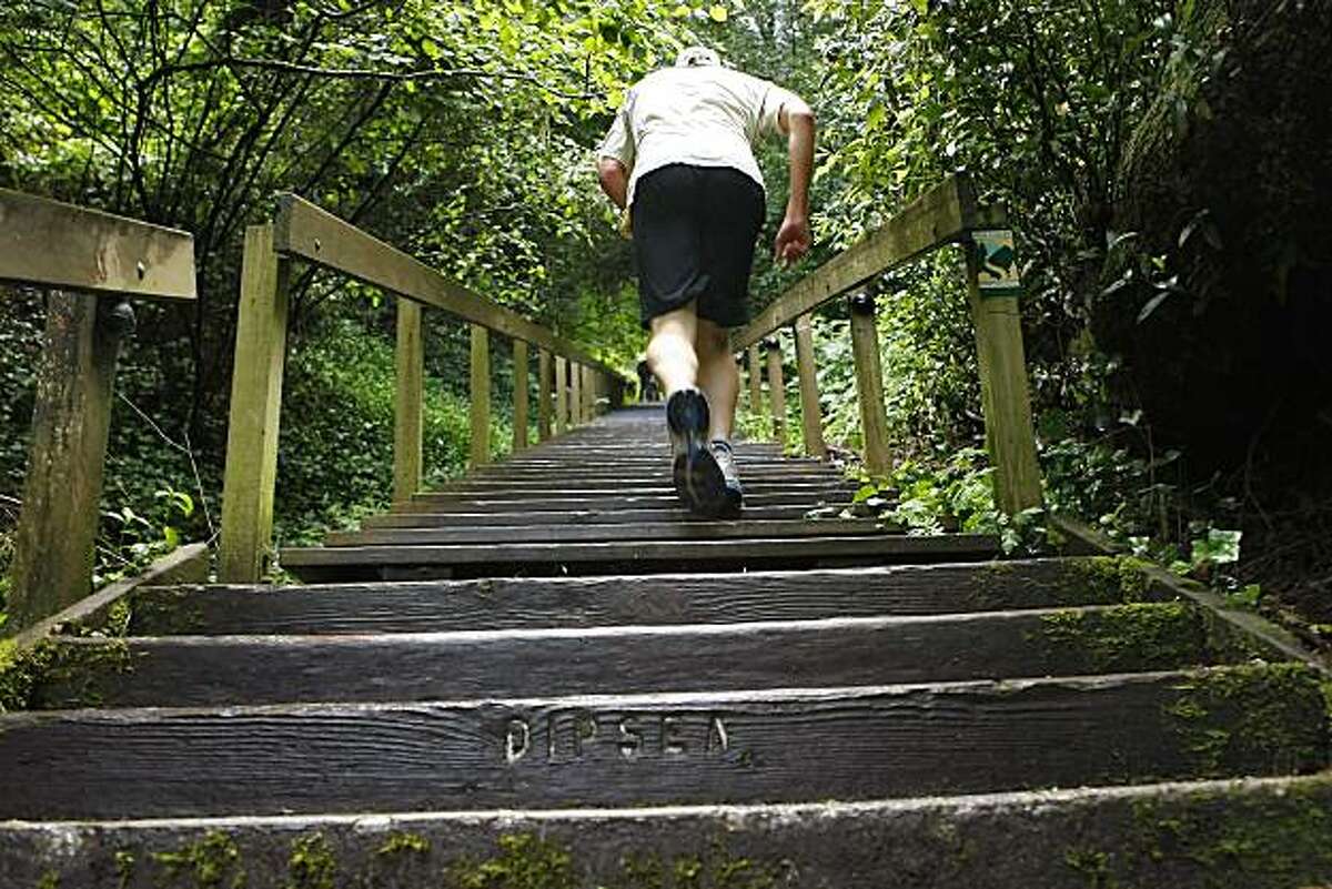 Dipsea Race, now 100, is a storied run westward