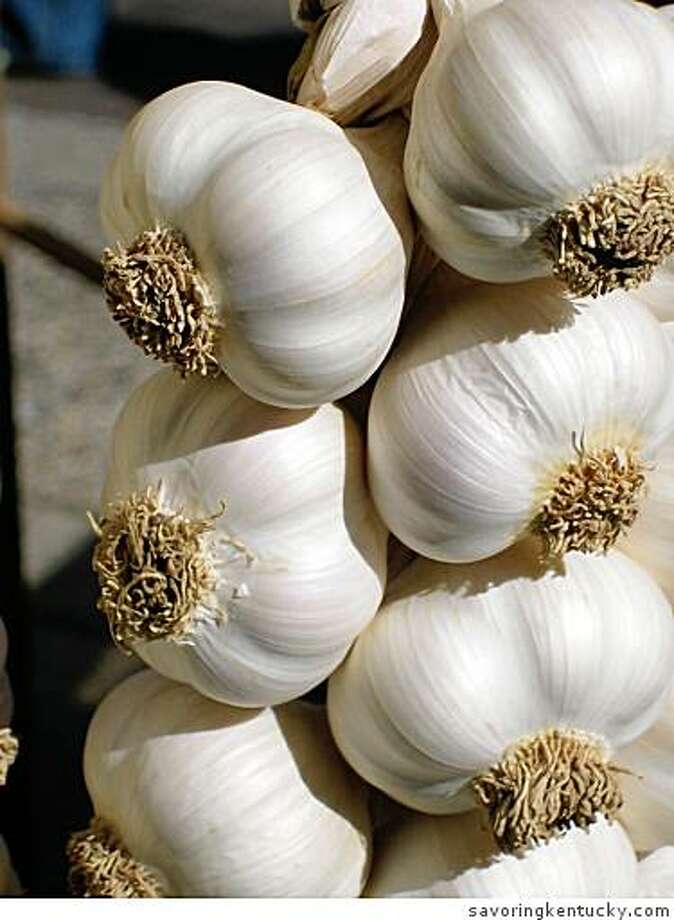 Rules of being a vampire SFGate