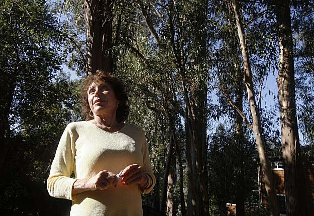 Anne Wolff looks at her grove of eucalyptus trees in the backyard of her home in Larkspur, Calif., on Thursday, Nov. 12, 2009. A Marin County judge has ordered Wolff to cut down over 25 of the trees that have been determined to be hazardous to next door neighbors.