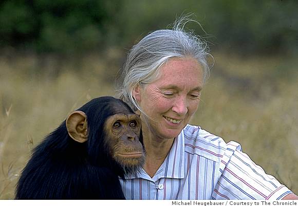 Goodall, Nishida win Leakey Prize